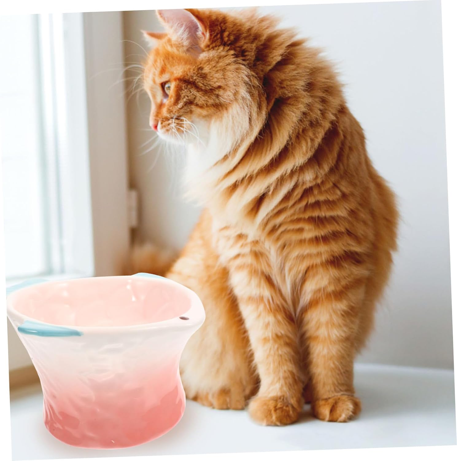 Elevated Cat Food Bowl Kitten Treats Plate Shallow Pet Feeder in Pink Fish Shape Ceramic Whisker Friendly for Cat Dog