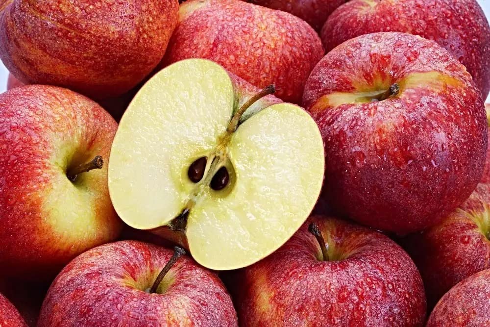 TRICONE Hybrid Fruit Apple seeds (सेब के 15 बीज) outdoor red apple beej AZ4 (B0BQMC9CGV) Amazon Price History, Amazon Price Tracker