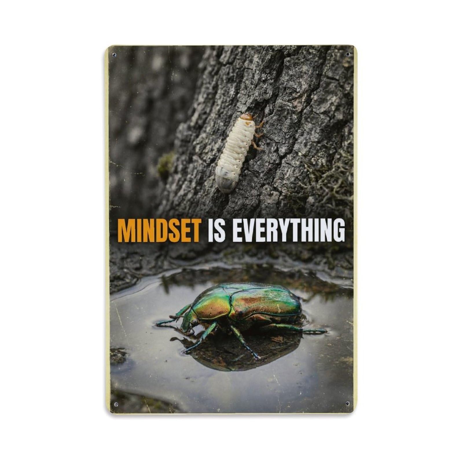 Olhnbad Style Beetle Insect Mindset Is Everything Motivational Quote Metal Tin Sign