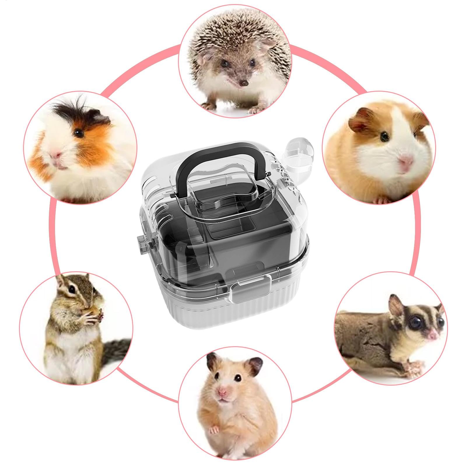 Grande gabbia per criceti, custodia per criceti traslucida, custodia da viaggio per piccoli animali, da viaggio per criceti, trasportino da viaggio per cincillà, gabbia portatile per