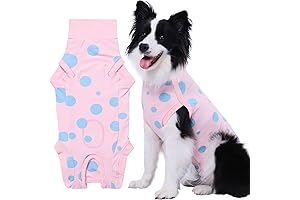 Professional Dog Recovery Suit for Post-Surgery Protection