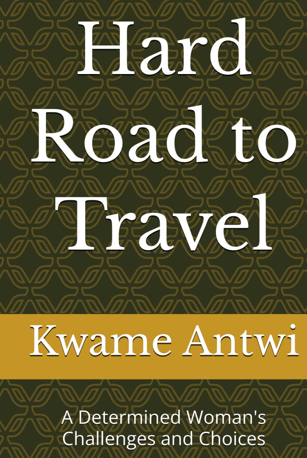 Hard Road to Travel: A Determined Woman's Challenges and Choices
