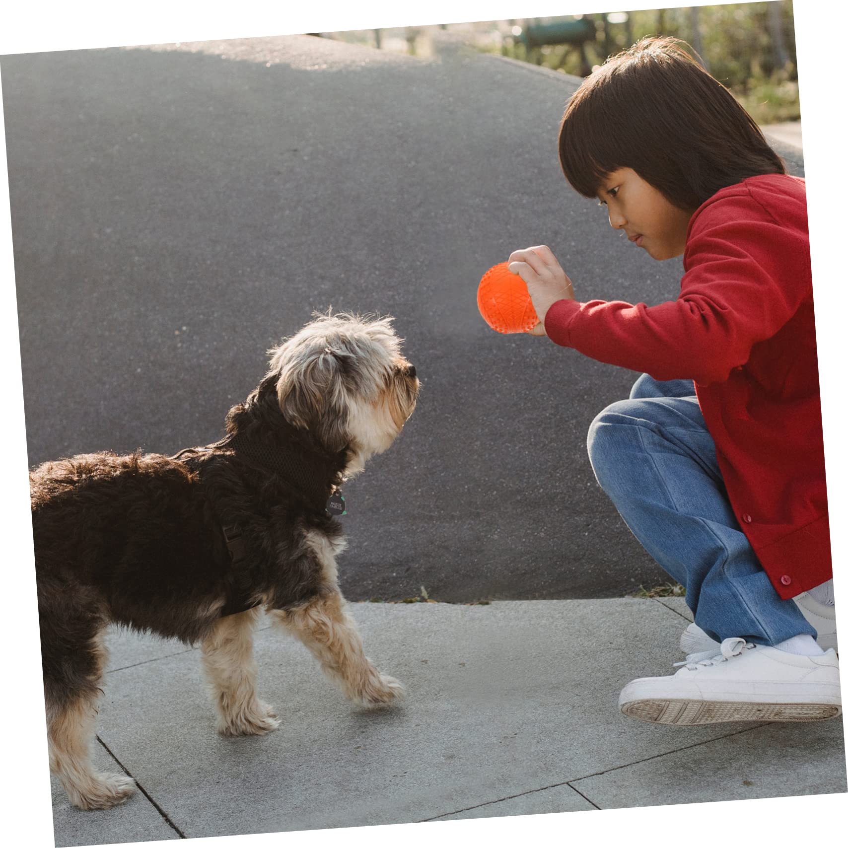 HANABASS 4stücke Quietschende Hundespielzeugbälle aus Gummi Klein zum Werfen und Apportieren für Welpen und Kleine Hunde zur Energieabfuhr und Langeweilebekämpfung