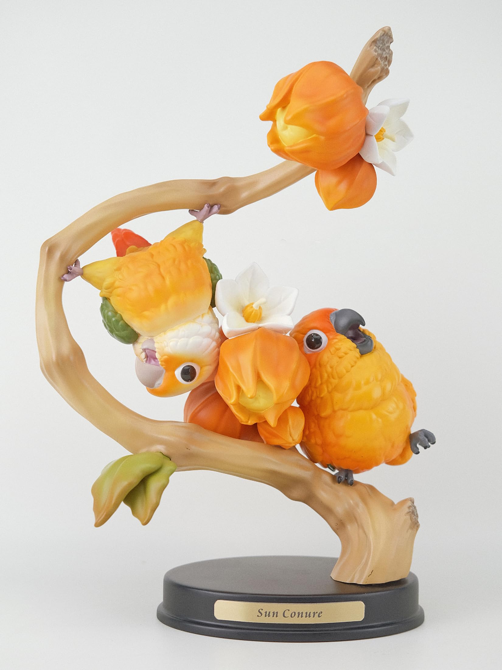 希少✨PALAVA パラバ　インコ柄　ワンピース　ホワイト系　S～M相当 Amazon.co.jp: 博物志 テンジクバタン ワライカワセミ シロハラインコ