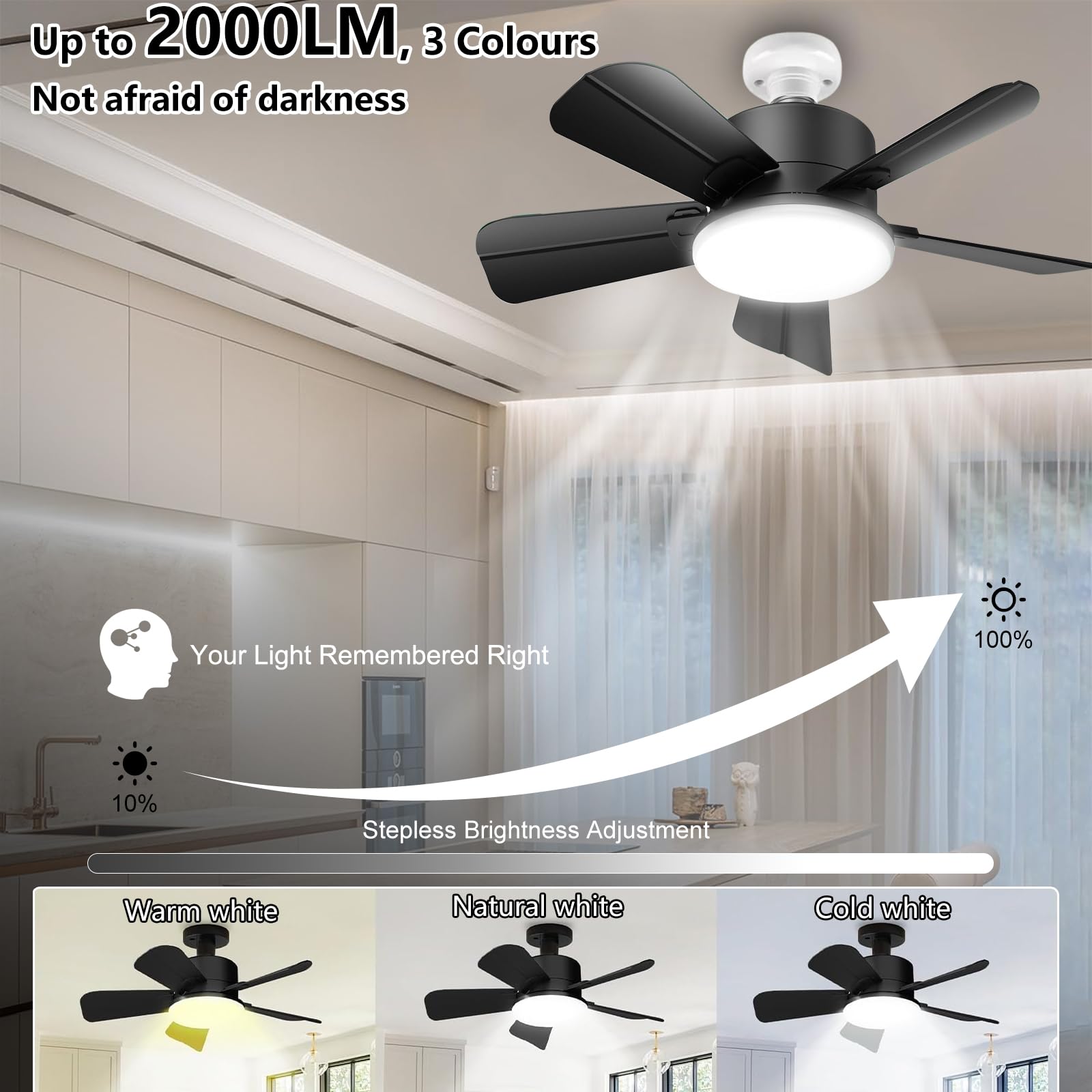 Socket Ceiling Fans with Lights and Remote, Fits E27/B22 Socket Fan light 2000LM Dim,Ceiling Fan with 900PRM - Image 2