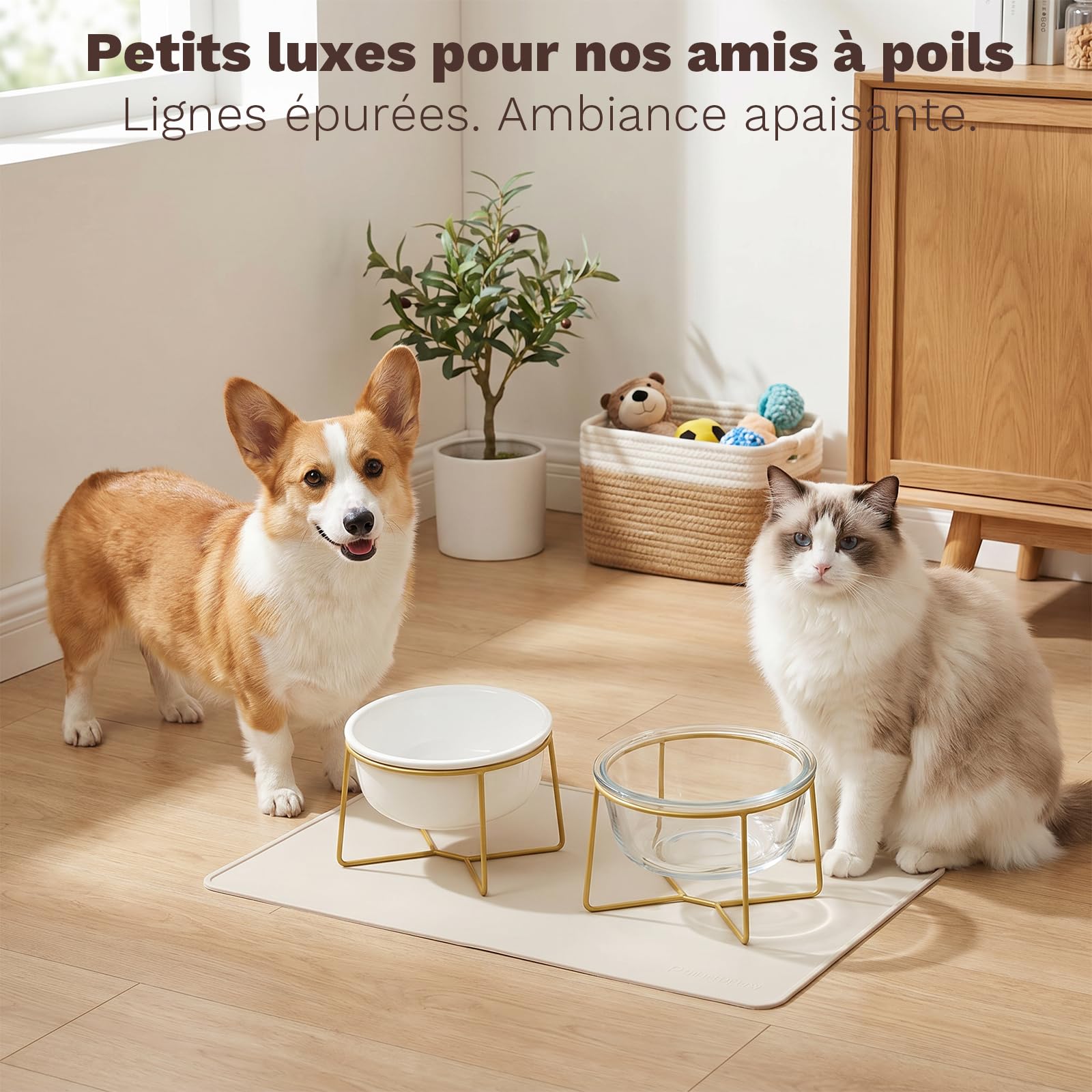 Gamelle Chien Surelevee en Ceramique - Bol pour Chien Surélevée avec Support en Métal - Ecuelle Chat Anti Vomissement - Gamelle Eau Nourriture pour Petits et Moyens Chiens et Grands Chats - 800 ML