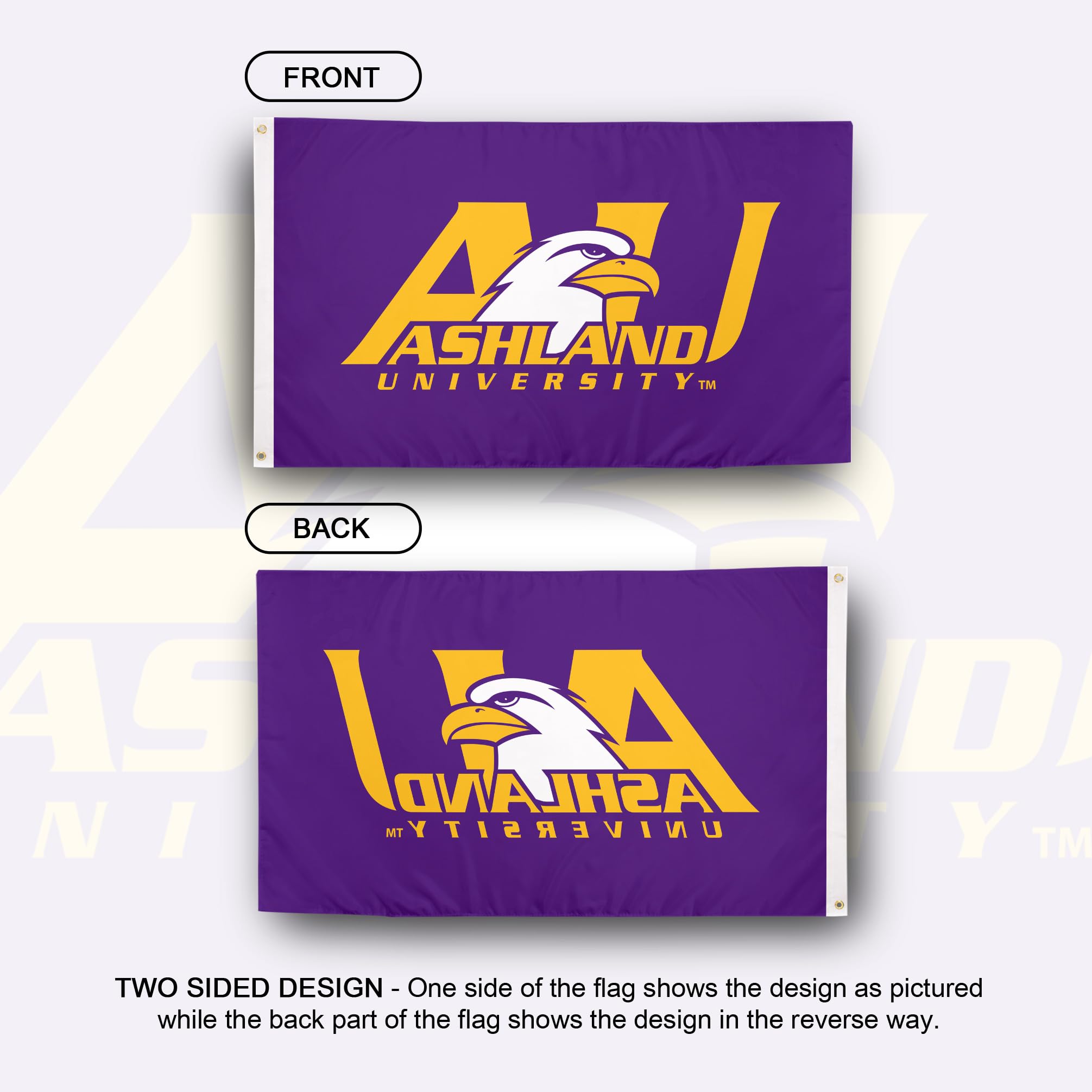 Desert Cactus University At Albany NCAA Flagge – 91x152 Cm, 100D Polyester Für Indoor & Outdoor