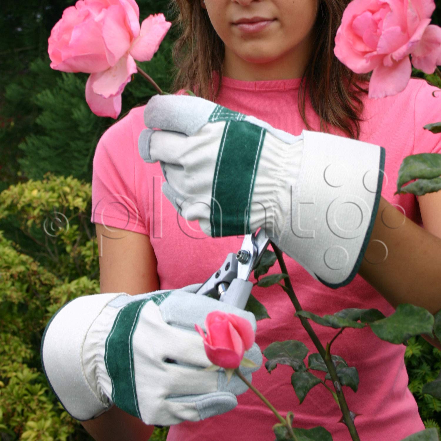 planto Gartenhandschuhe Leder, Rosenhandschuhe, dornensichere Gartenhandschuhe, Thorn Proof Stachelschutz Arbeitshandschuhe, Lederhandschuhe (12 Paar)