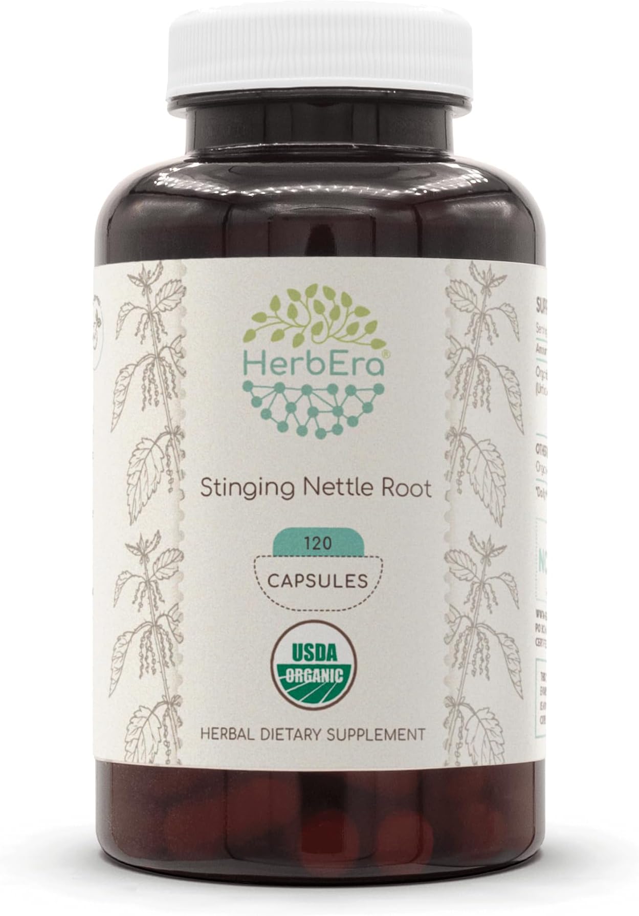 HerbEra Stinging Nettle Root 120 Capsules, 500 mg, USDA Organic Stinging Nettle (Urtica Dioica) Dried Root (120 Capsules)
