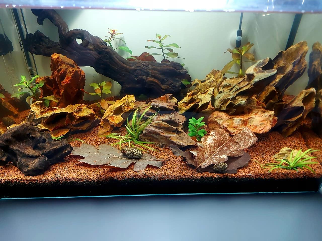 View 5