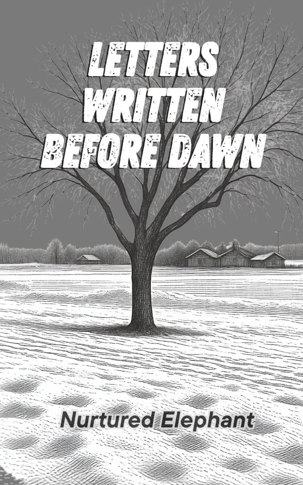 LETTERS WRITTEN BEFORE DAWN