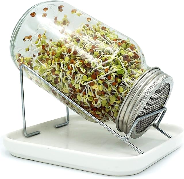 Twist & Sprout Sprouting Jar Kit for Sprouting Seeds - Includes one Mason Jar, Mesh Lid, Draining Stand and Ceramic Tray