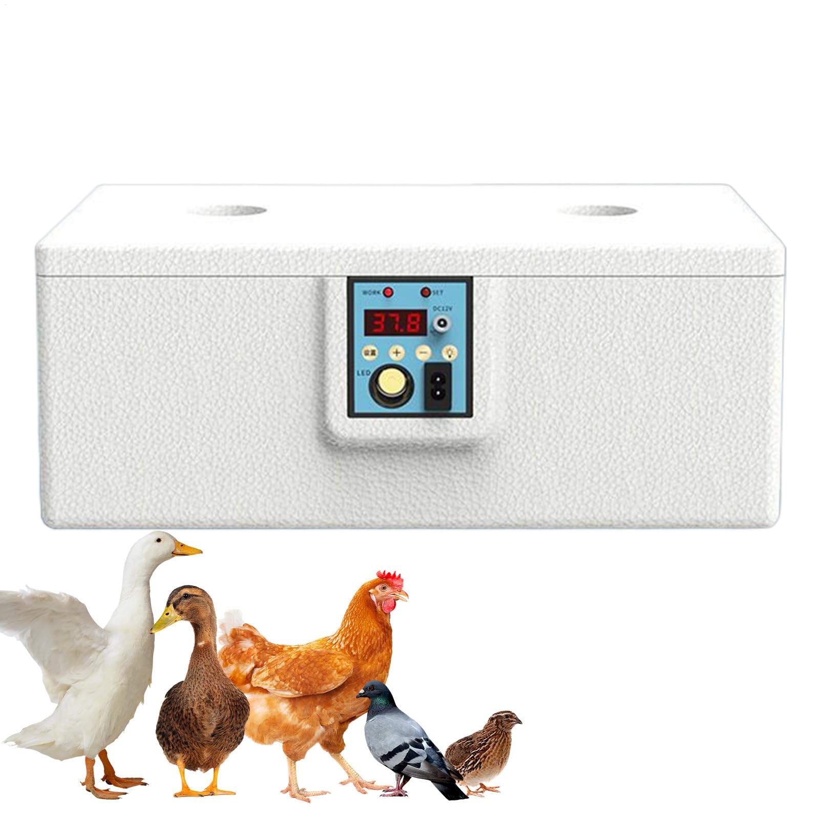 孵化器、ケージ Amazon | 卵孵化器,十至二十五個対応の家禽孵化器 自動回転機能付き