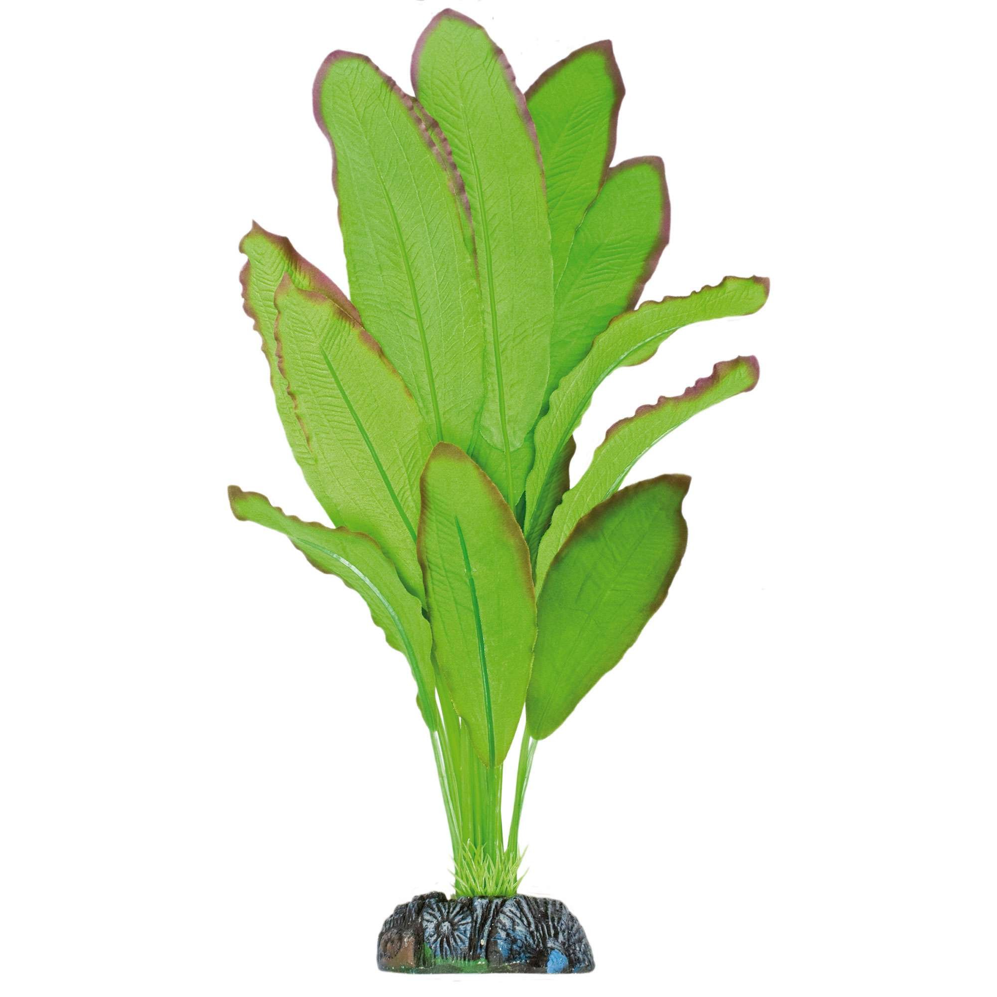 ICA AP1110 Echinodorus Spidemet Silk Plant