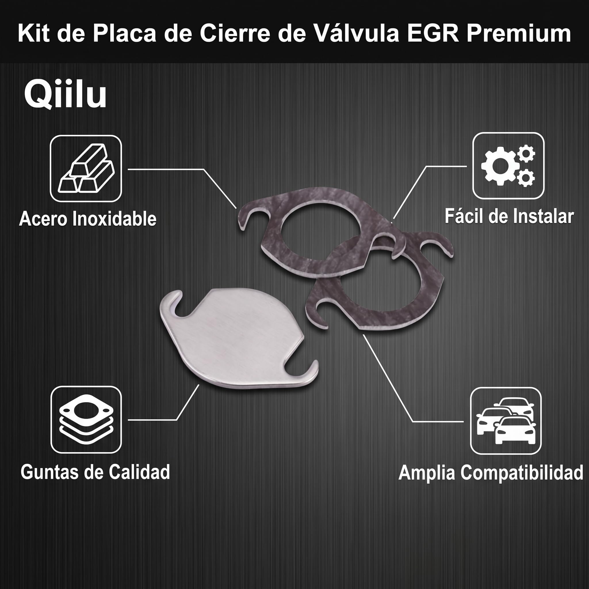 Qiilu - Kit de placa de obturación de válvula EGR con junta