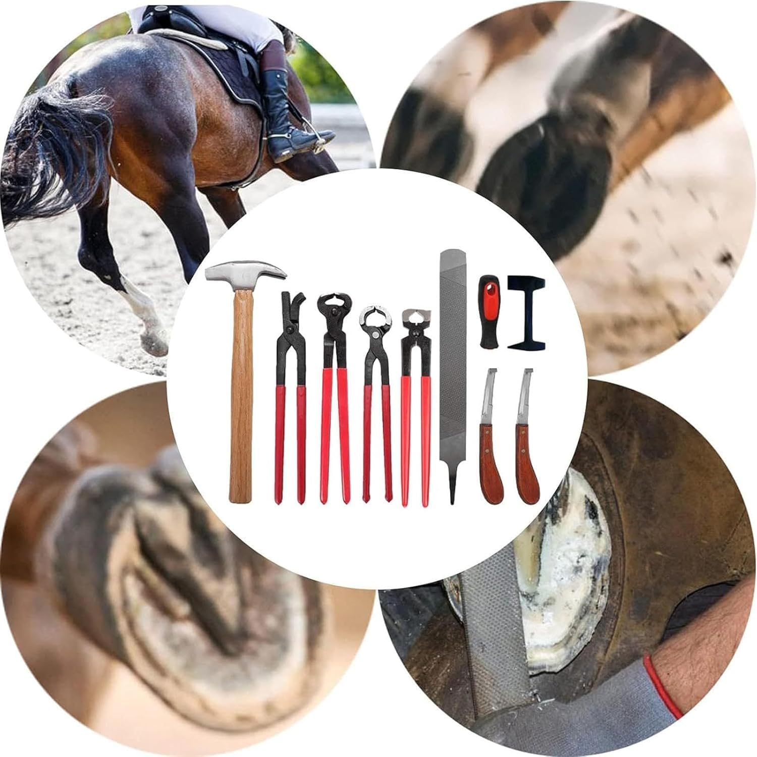 9-teiliges Hufschmied-Werkzeugset for Pferde, Hufschneide-Set, inklusive Hufeisenschneidezange, Hufmesser mit rechtem Griff, Hufhammer, Pflegewerkzeuge for Rinder, Schafe, Pferde, Esel.