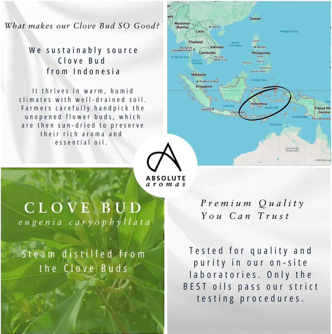 Absolute Aromas Clove Essential Oil 10ml