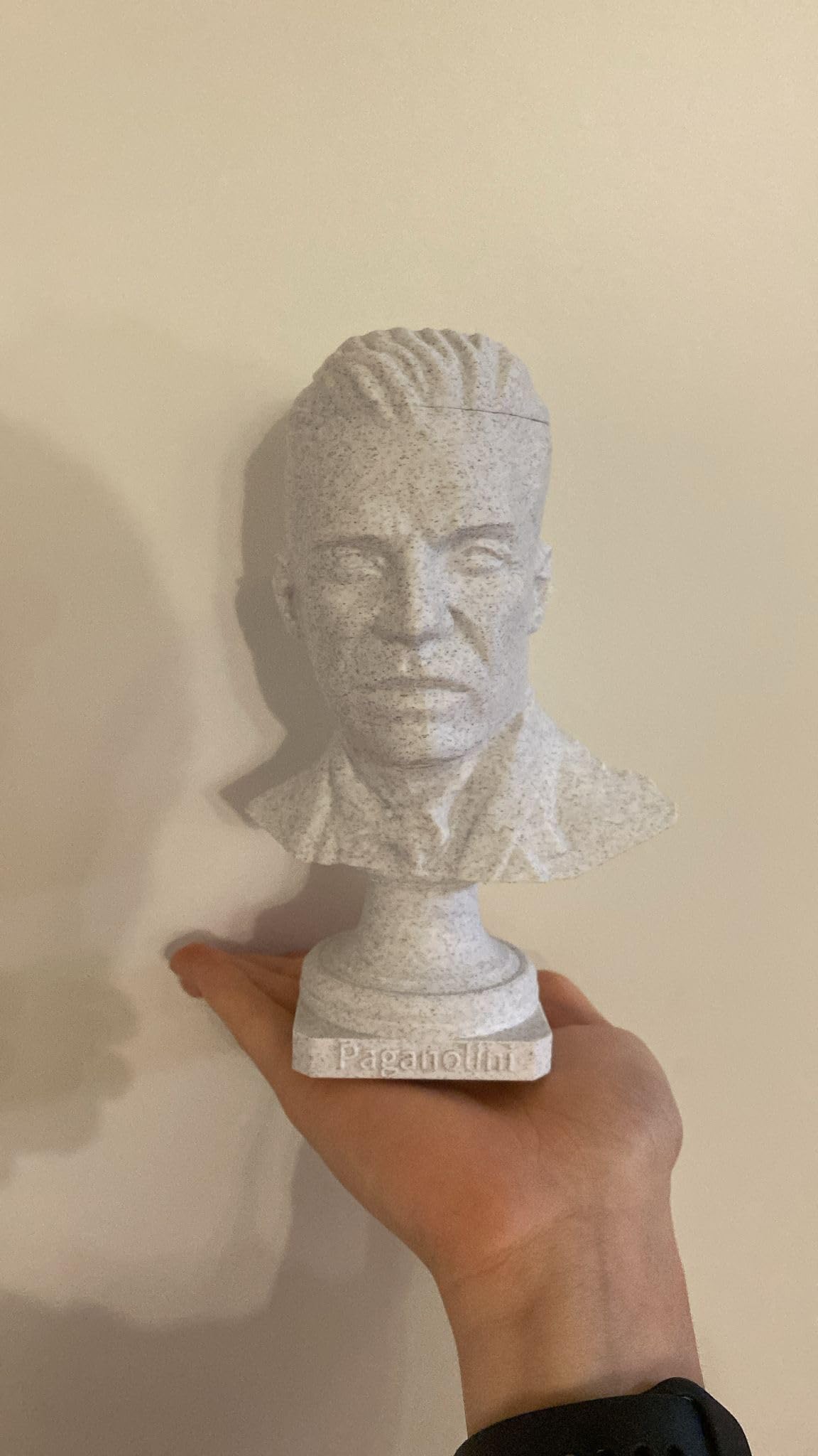 Busto 3D Personalizzato in Materiale Atossico, Stampa 3D di Persone e Animali, 20 x 20 x 35 cm, Bianco