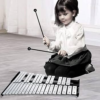 グロッケン　練習用　マレット付き　ケース付き 楽天市場】鉄琴 卓上 30音 グロッケン マレット 2本 収納 ケース