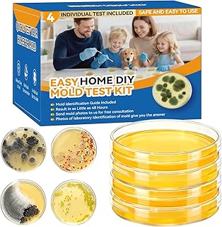Mold Test Kit for Home Detection: 4 Simple DIY Science Kits for Fastly Testing Home Surfaces & Air Quality Detector & HVAC Monitor Includes Detailed Identification Guide
