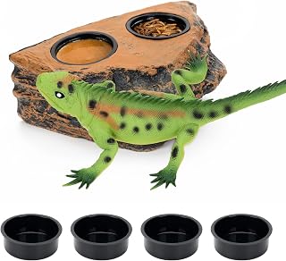 Magnetic Reptile Feeding Ledge, Multi - Purpose as Water Dish & Crested Gecko Food Dish, Ideal for Bearded Dragon, Gecko - Reptile Terrarium Tank Accessory