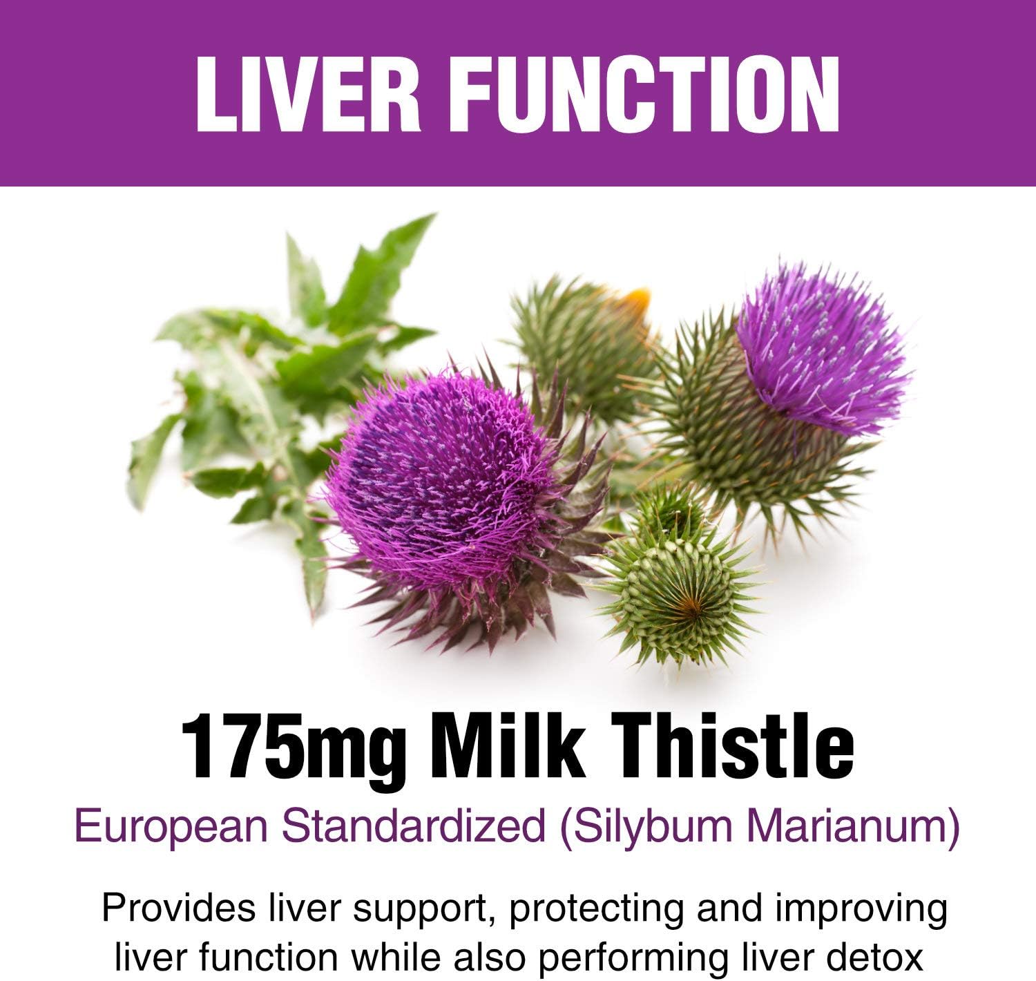 Natural Wellness Liver Support & Detox Supplements with Milk Thistle, Artichoke & Turmeric - Healthy Liver Function & Repair for Men and Women - Vegetarian Capsules - 30 Day Supply