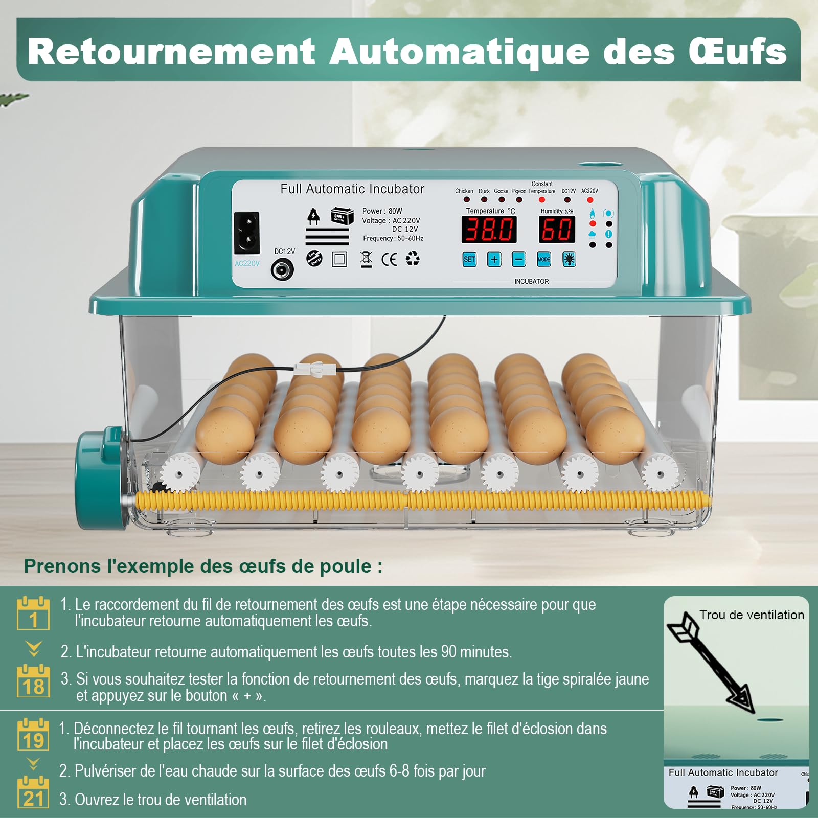 CoInceptus Couveuse oeuf automatique Incubateur 24-36 Oeufs | Retournement auto ajout d’eau auto affichage température/humidité régulation thermique pour œufs poule canard oie caille