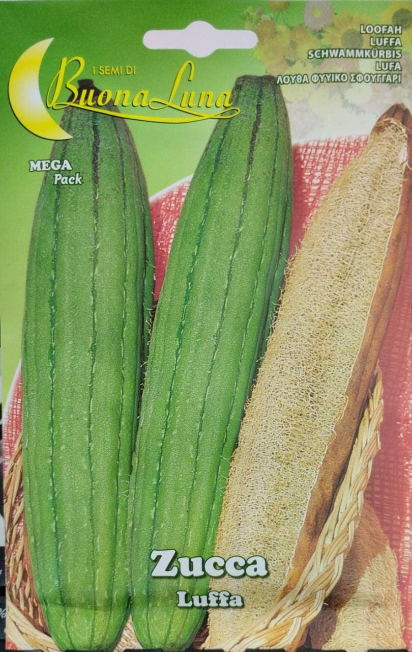BUONA LUNA ZUCCA (LOOFAH)