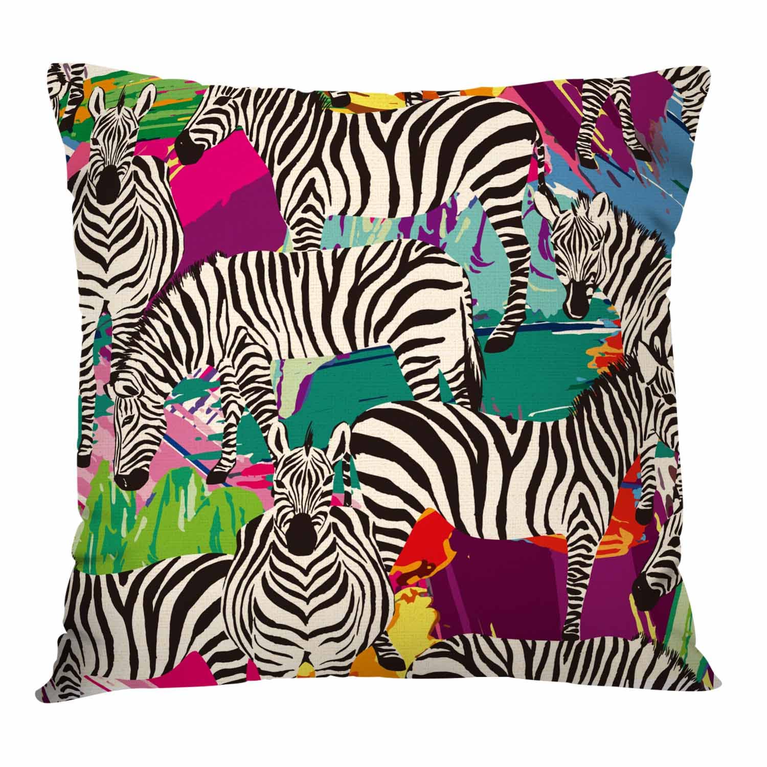 Amazon.com: IBILIU Art Zebra Throw Pillow Covers 18X18,Zebra Animal