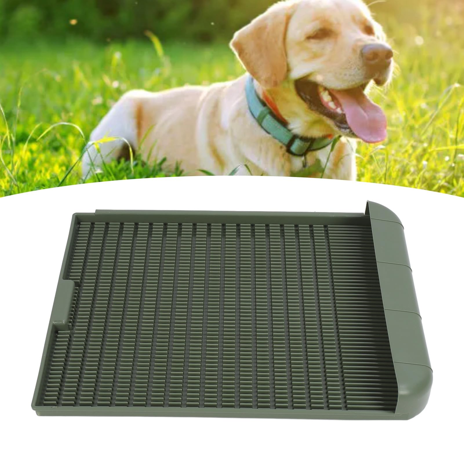 Dilwe Vasino per Cani Toilette da Addestramento Durevole e di Alta qualità per Cani di Taglia Piccola, Media e Grande, Facile da Pulire, per Appartamenti (L)