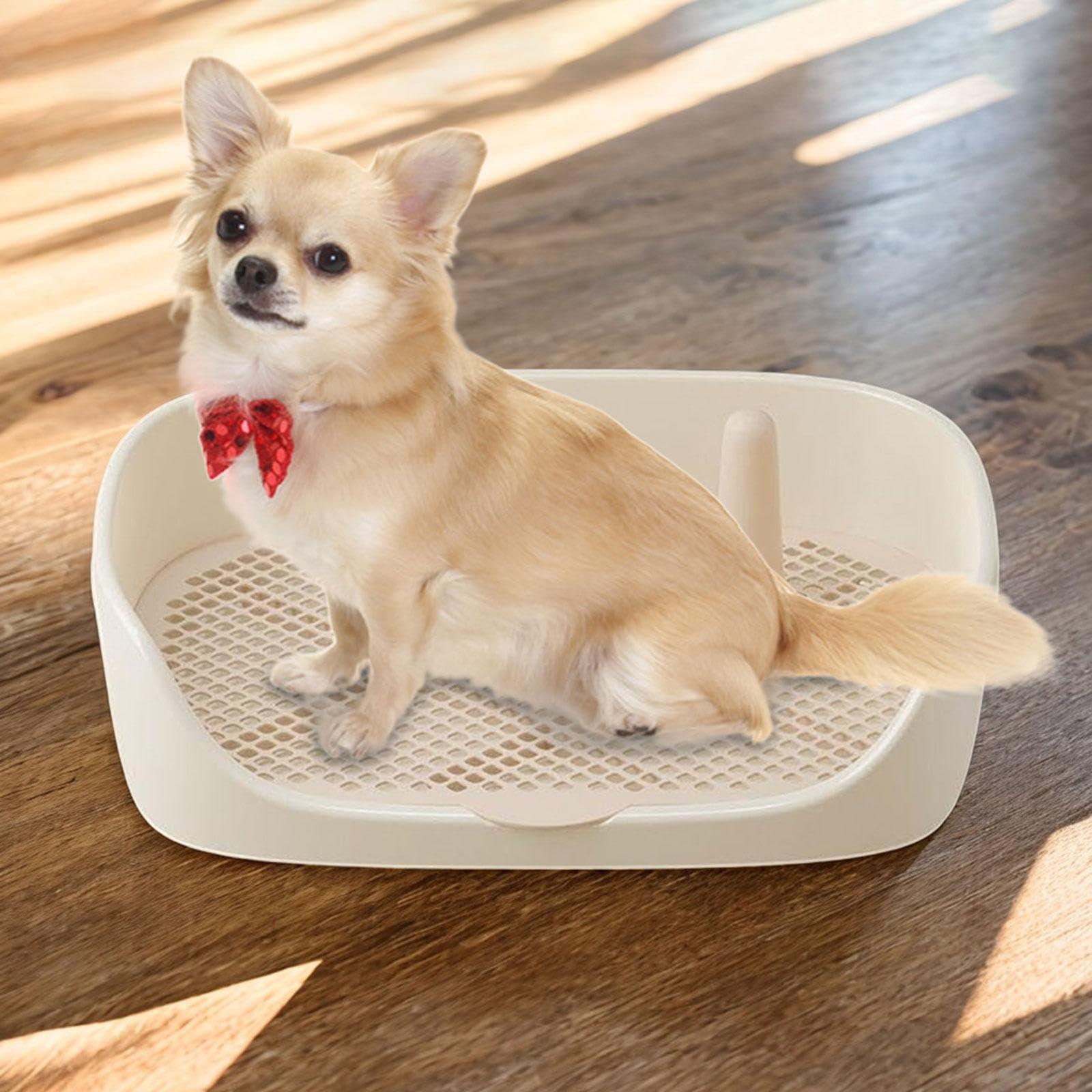 F Fityle Toilette per Cani Vasino da addestramento Tappetino per addestramento Toilette Porta pipì Pad Appartamento Gabinetto Forniture per Animali Domestici, Beige 48x37x13cm