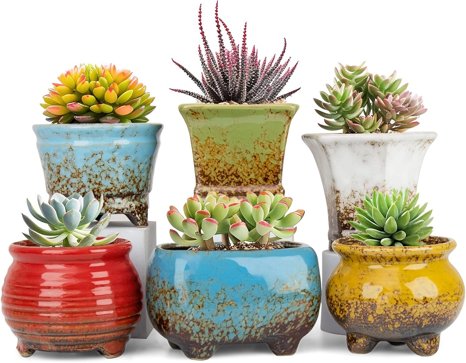 ARTKETTY Succulent Pots - Small Succulent Plant Pot with Drainage Set of 6, Ceramic Cactus Planter Pots for Indoor Unique Flower Planter Container for Home Office Decor