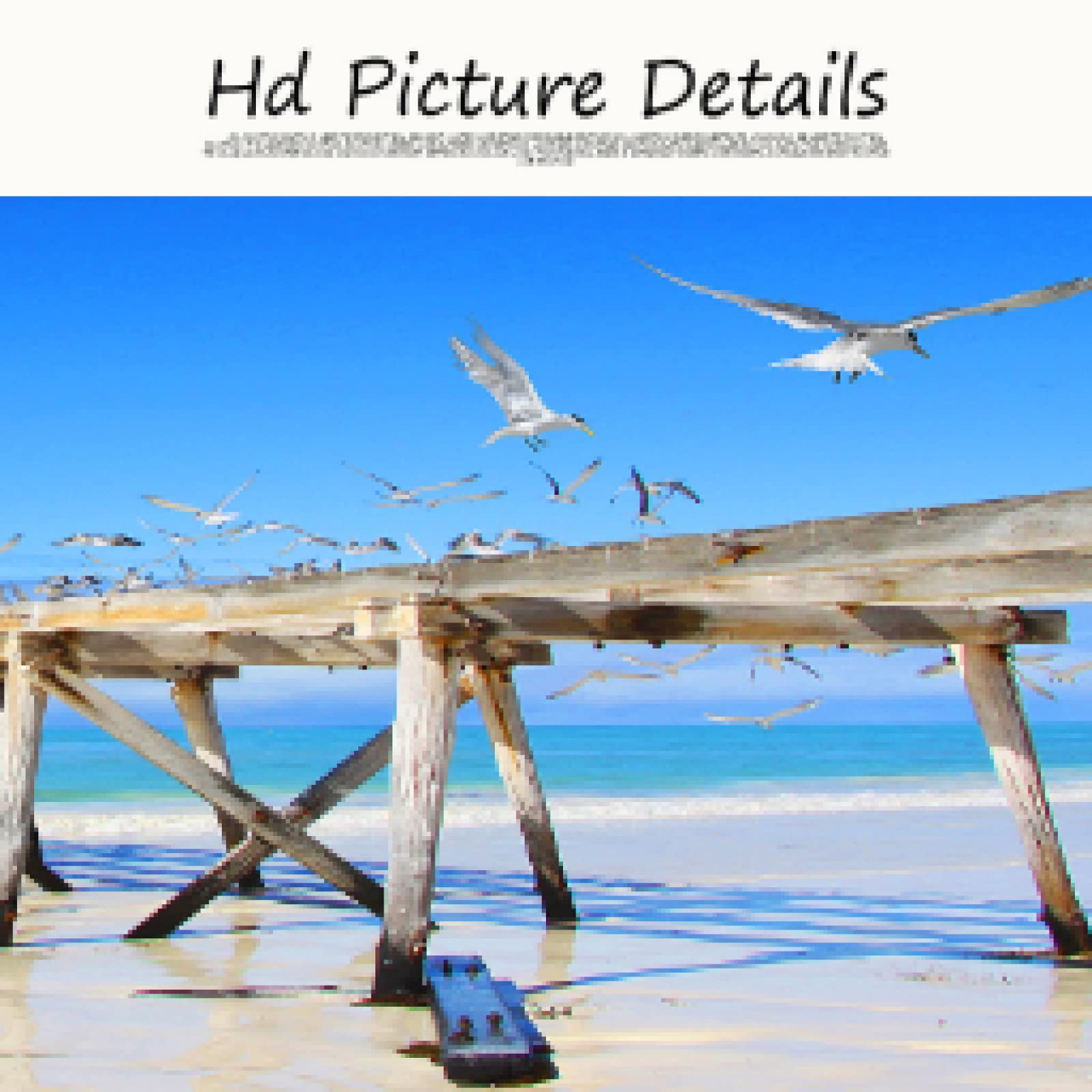 Natura Oceano Mare Onde Uccelli Marini Cielo Nuvole Paesaggio Panoramico Tela Pittura Poster e Stampe Tela Wall Art Picture 50x150cm Senza Cornice