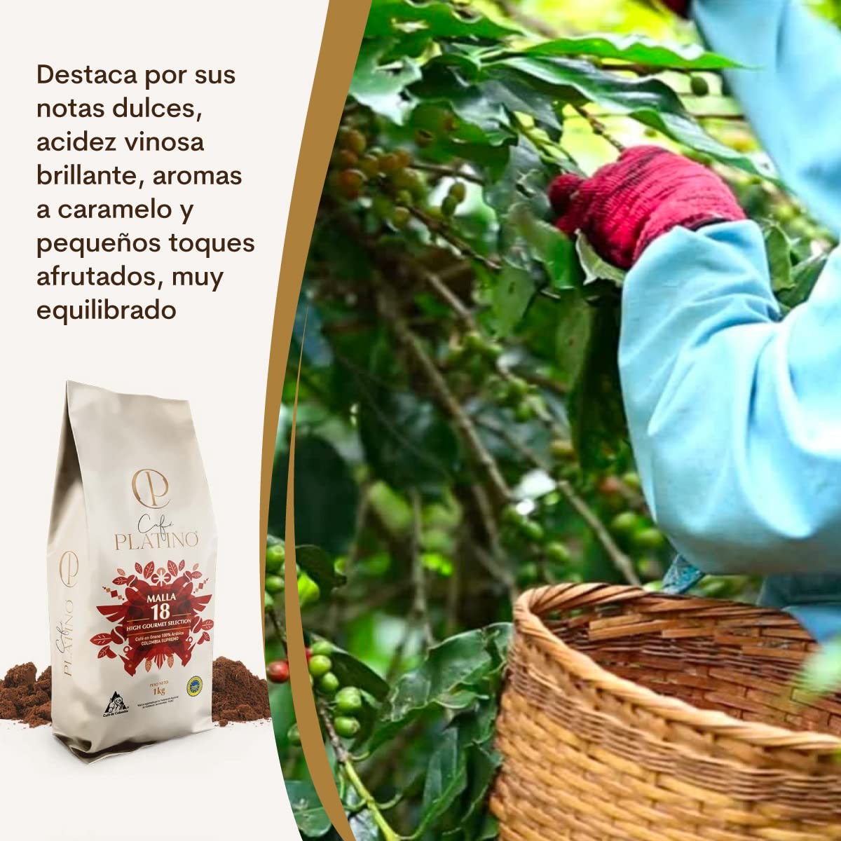 Café Platino - Café Molido de Colombia Supremo Tostado 1Kg - 100% Arábica - Malla +18 High Gourmet Selection