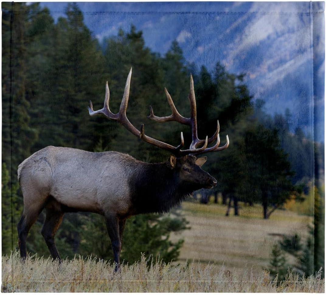 3dRose Rocky Mountain Bull elk 22x30 Bath Hand Pool Towel