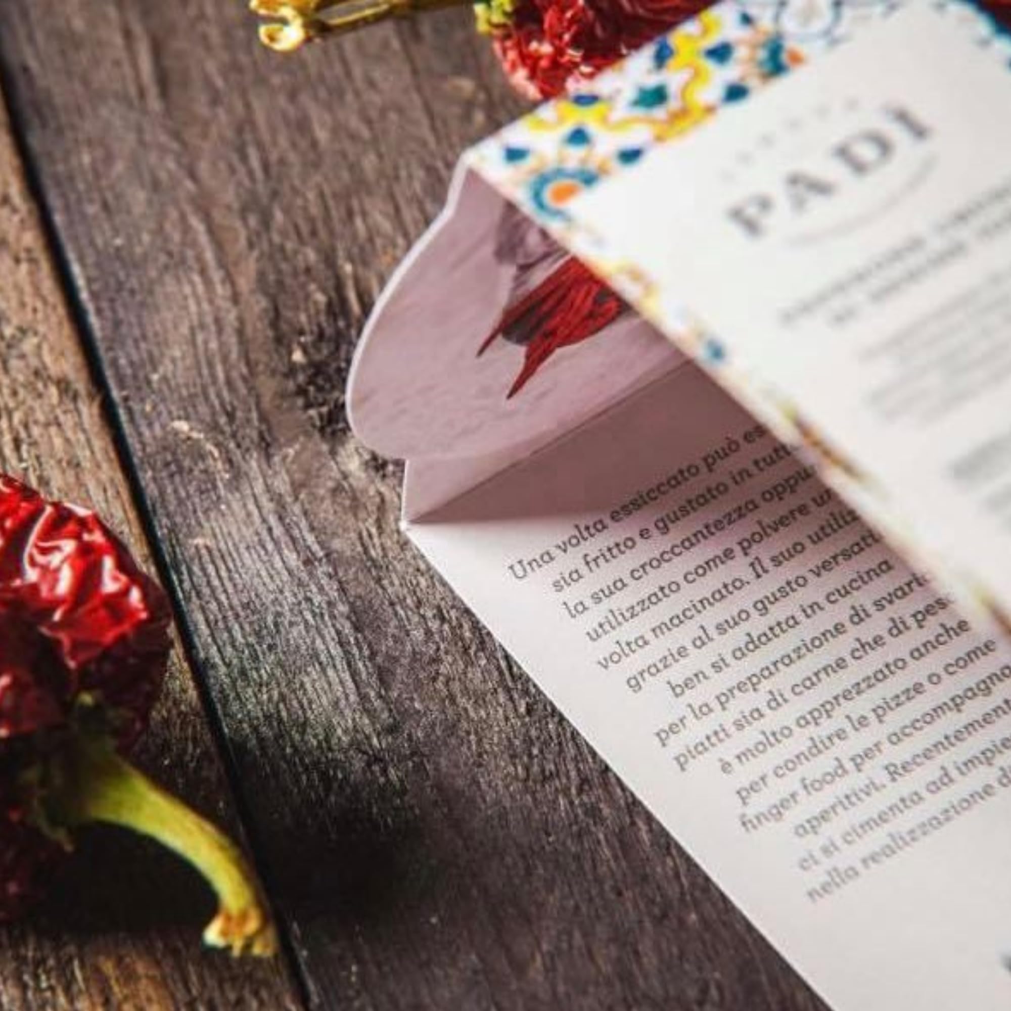 Tenuta Padì Serta di peperoni secchi di Senise IGP - Da friggere e fare Cruschi - Collana o Nzerta o Treccia di Zafaran Crusk - 500 Grammi - Mezza Serta