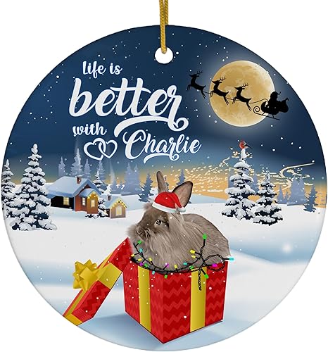 Life is Better with Chocolate Lionhead Rabbit Nombre Personalizado Adornos de Navidad 2023 Círculo Blanco Cerámico Dueño de Granja Regalo