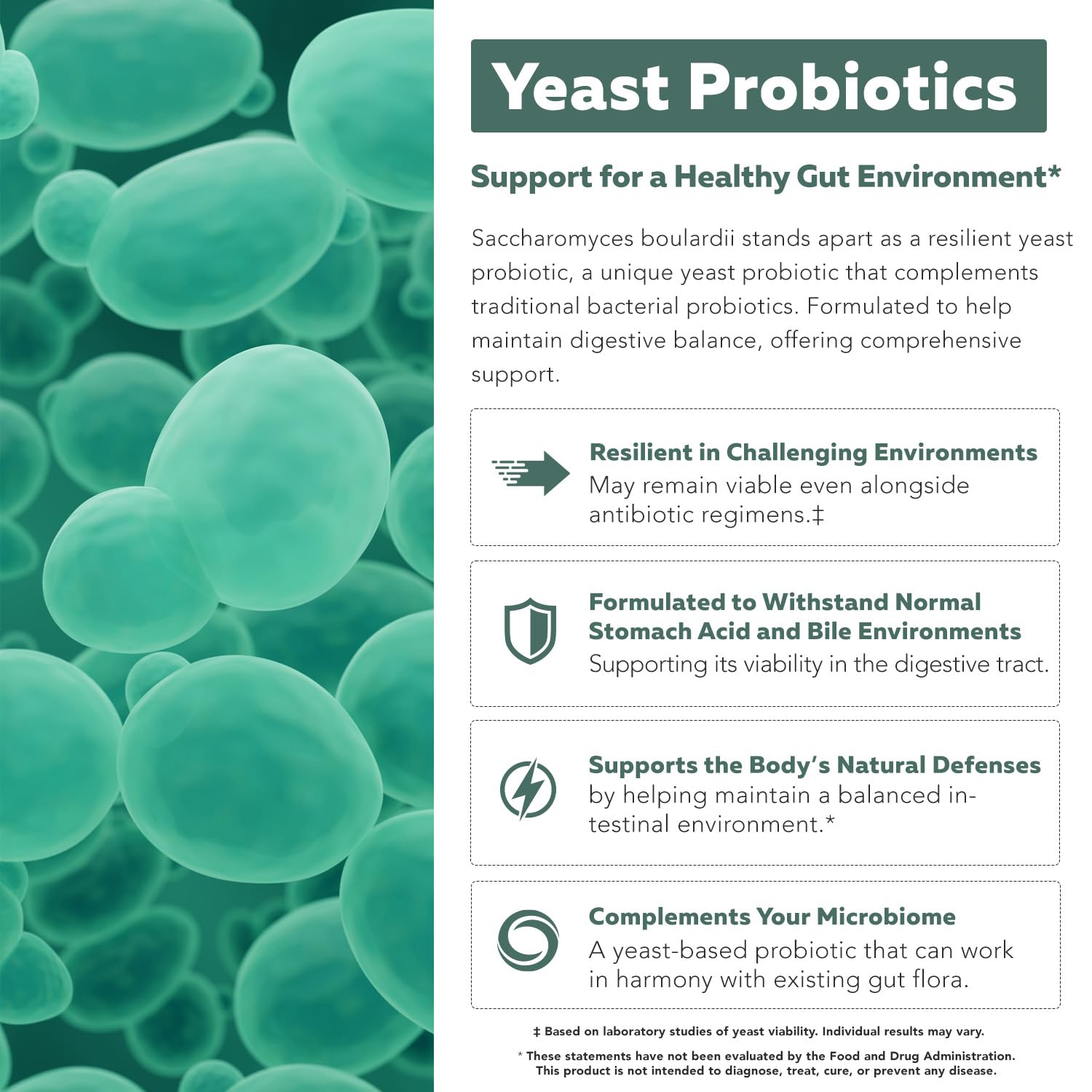 Organic Saccharomyces Boulardii - 10 Billion CFU, Clinically Validated — Amazon image 6