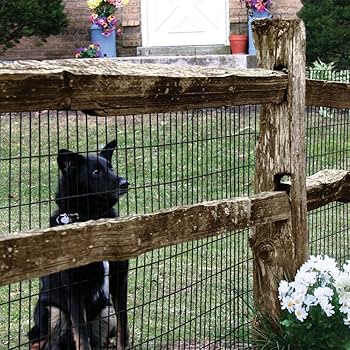 unoa Grand Plie Rainy Garden Mサイズ 158724916_o14.jpg?