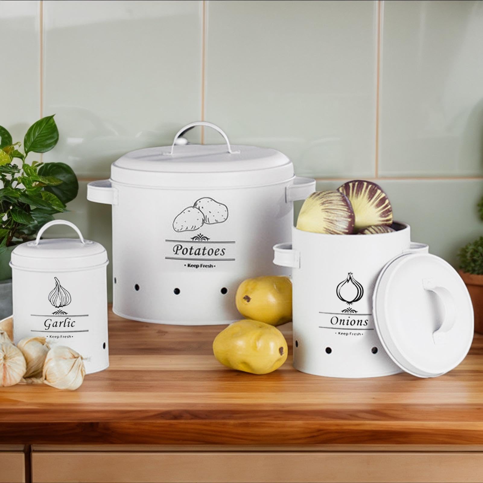 Conservazione di verdure da cucina, Conservazione di cipolle di patate | Barattoli da cucina, Pentole da cucina vintage, Pentole per verdure da cucina, Contenitori bianchi per cipolle, Barattoli di