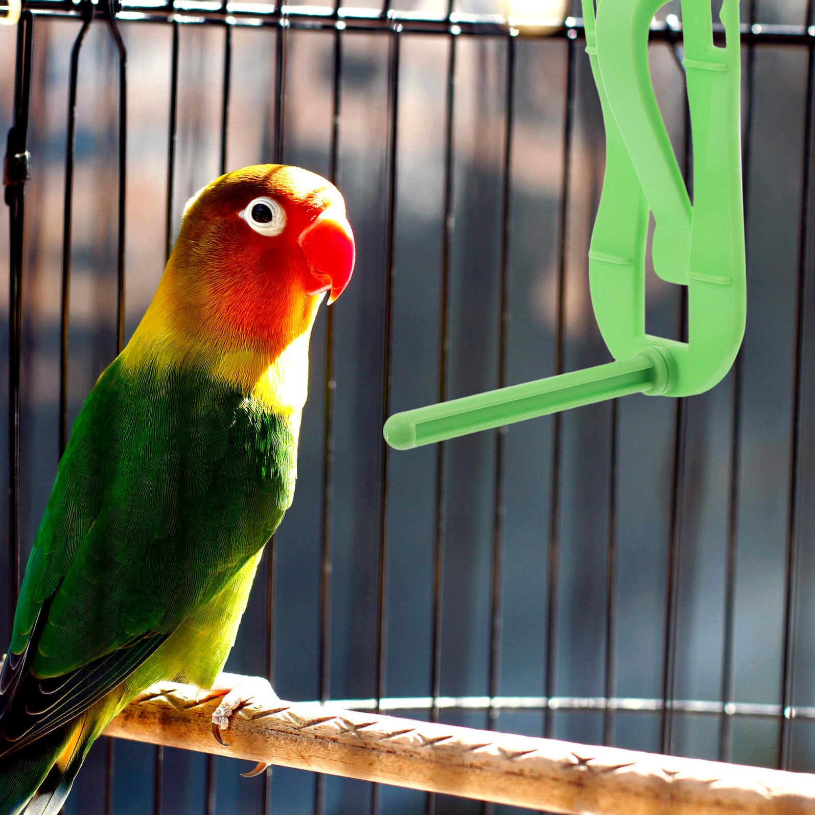 FRCOLOR Clip per Mangiatoia Uccelli 20 Pezzi Forchetta per Frutta e Verdura Supporto per Gabbia e Trespolo per Pappagalli e Parrocchetti Accessori per Gabbie da Voliera Adatti a