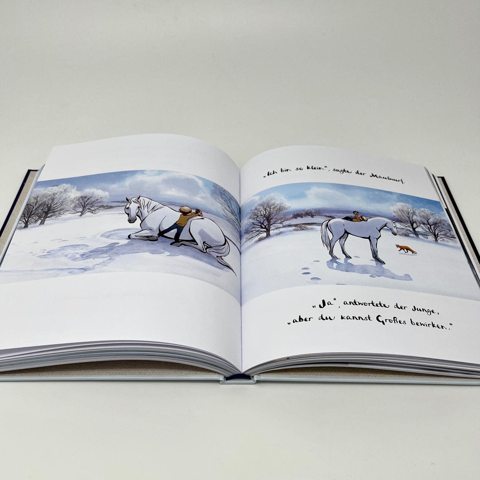 Der Junge, der Maulwurf, der Fuchs und das Pferd. Eine bewegte Geschichte: Der Oscar-Gewinner 2023 - ein Buch, so schön wie eine Umarmung