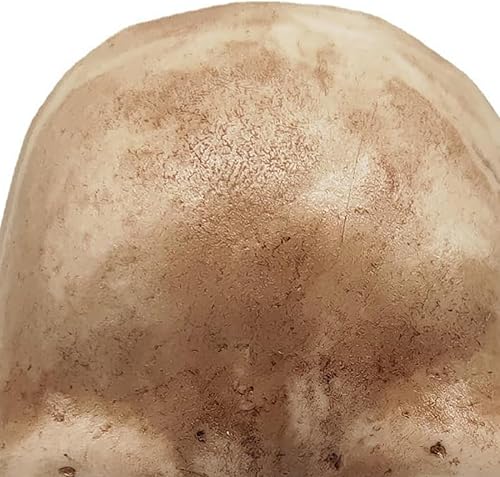 Miniatura 5 de Luz nocturna de calavera gótica, decoración de habitación, lámpara de esqueleto única, decoración de Halloween, esqueleto espeluznante, decoración