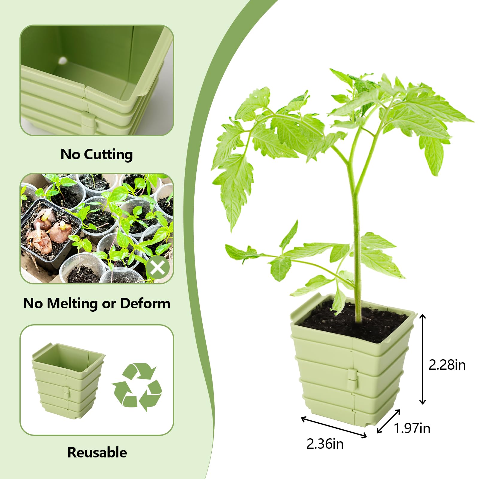 Green Bazzar - Bandeja de inicio de semillas de 8 unidades, bandejas reutilizables para germinación de plantas con 24 células individuales, ideal para germinar semillas en interiores y