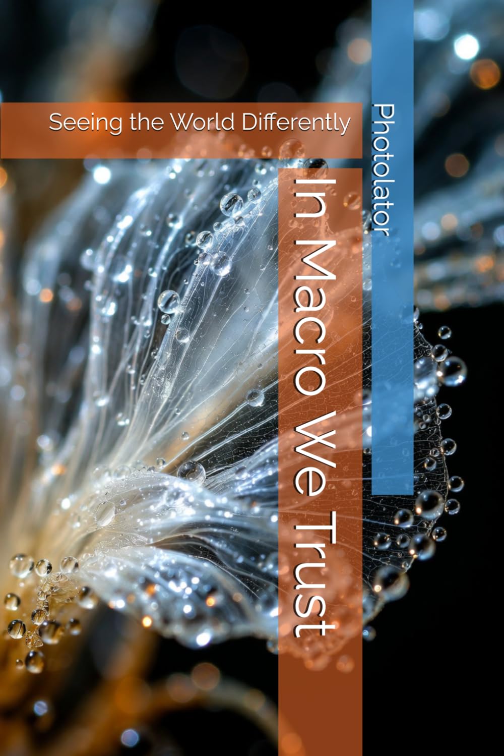 In Macro We Trust: Seeing the World Differently (Photography Guide)