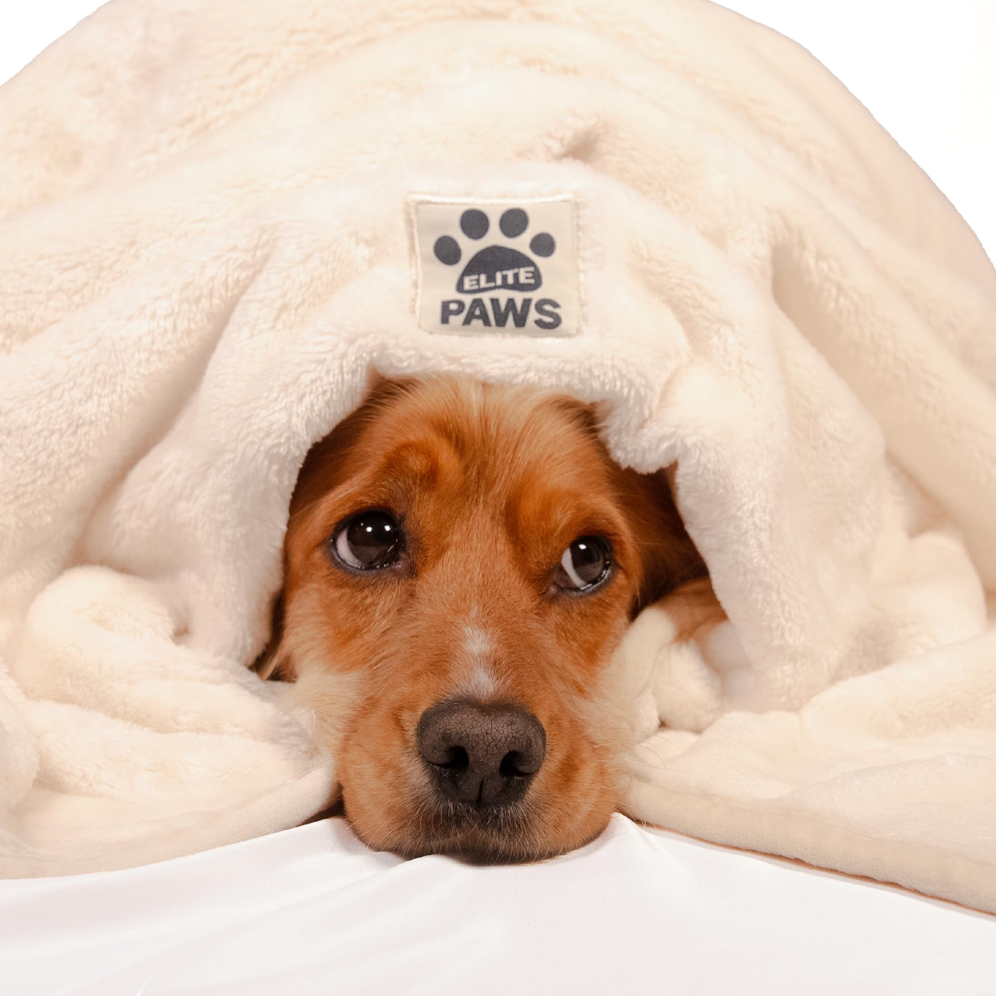 Elite Paws® UK: Luxury Large Dog Blanket, Beautifully Soft & Plush Cream Fleece, 130×100cm
