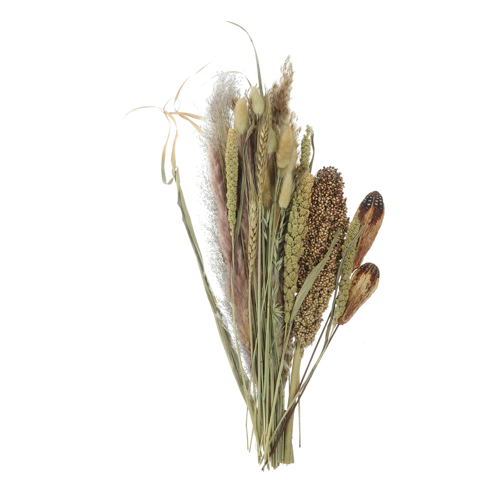 BESPORTBLE 2pezzi Bouquet Naturali Dried Pampas Per Decorazioni Domestiche e Matrimoni Combinazione Secchi Per e Accogliente Per e Speciali