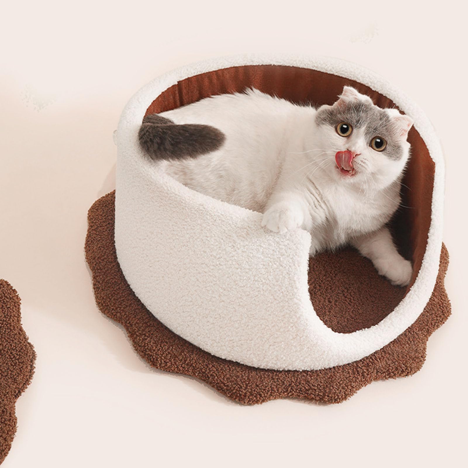 Cuccia per gatti chiusa a forma di biscotto, facile da pulire, calda e accogliente cuccia per gatti e gattini da interni