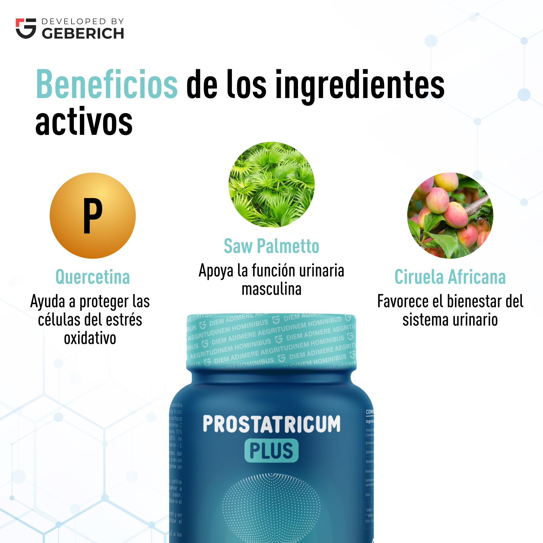 Cápsulas PROSTATRICUM PLUS | Vitalidad Masculina | Quercetina en polvo 300 mg + Serenoa repens | Bienestar urinario | con Licopeno y Zinc | 30 cápsulas