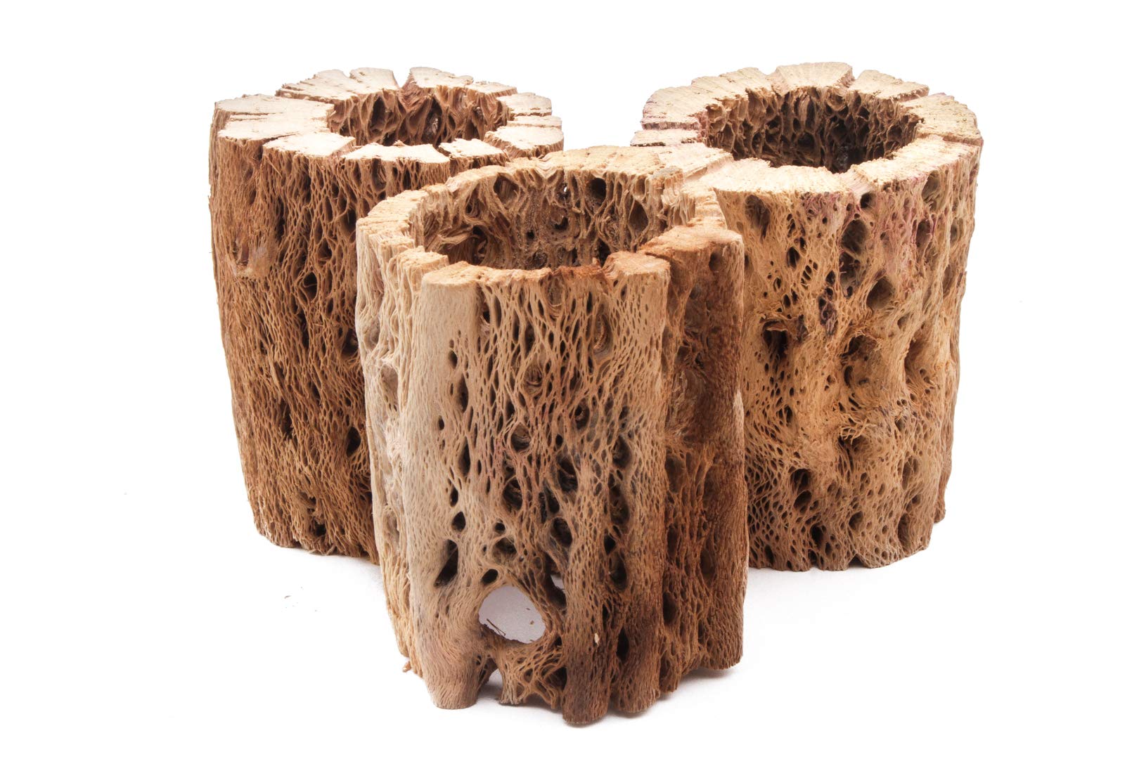 3 to 48 Inch All Natural Teddy Bear Cholla Wood Extra Hollow Large Untreated Organic Aquarium Driftwood Decoration Chew Toy Shrimp Crab Multi-Quantity (3 Pieces, 3 inch)